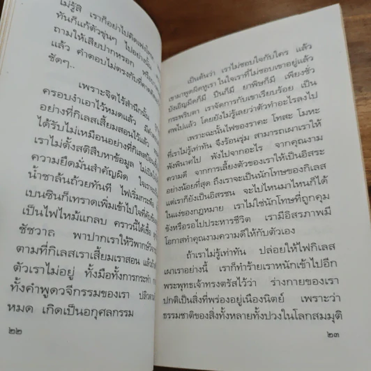 ธัมมะเป็นน้ำดับไฟ - อมรา มลิลา รูปที่ 8