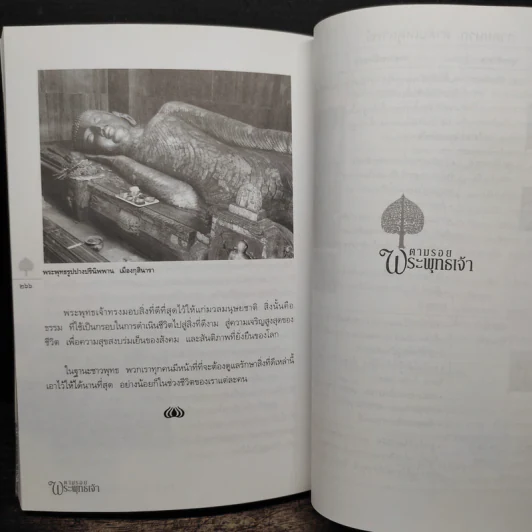 ตามรอยพระพุทธเจ้า - ลักษณา จีระจันทร์ รูปที่ 10