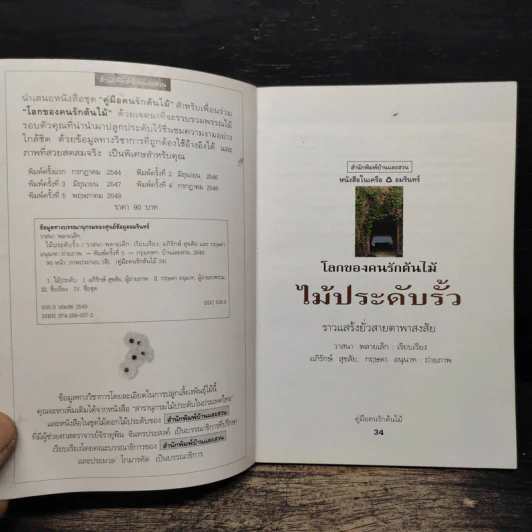 คู่มือคนรักต้นไม้ ไม้ประดับรั้ว - วาสนา พลายเล็ก รูปที่ 6
