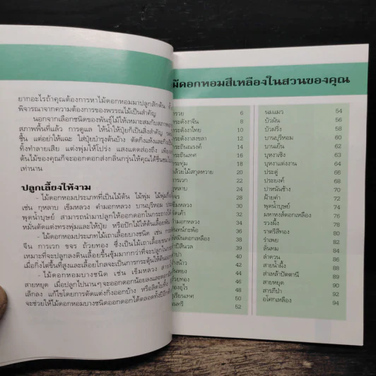 คู่มือคนรักต้นไม้ ไม้ดอกหอม สีเหลือง - วชิรพงศ์ หวลบุตตา รูปที่ 7