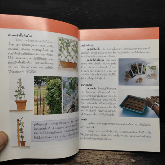 คู่มือคนรักต้นไม้ ไม้ดอกกระถาง - อฤชร พงษ์ไสว รูปที่ 9