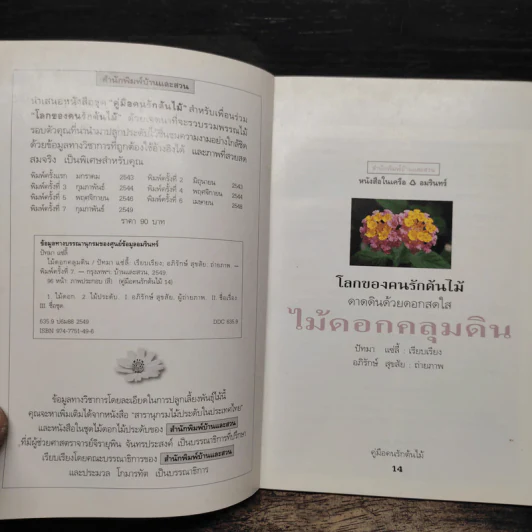 คู่มือคนรักต้นไม้ ไม้ดอกคลุมดิน - ปัทมา แซ่ลี้ รูปที่ 6