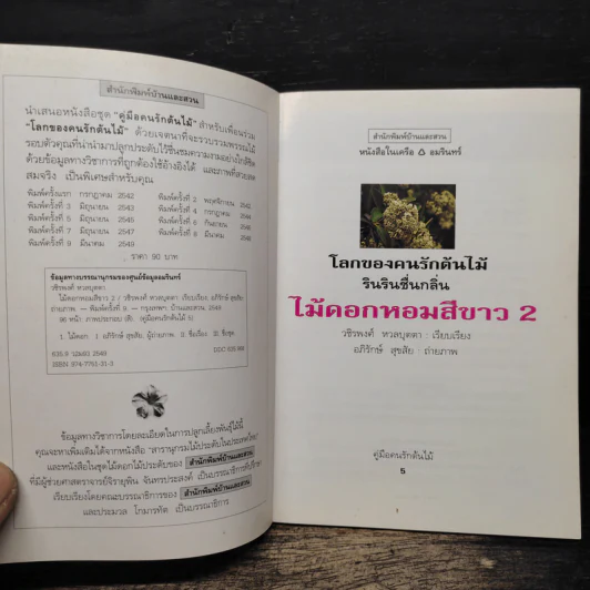 คู่มือคนรักต้นไม้ ไม้ดอกหอม สีขาว 2 - วชิรพงศ์ หวลบุตตา รูปที่ 6