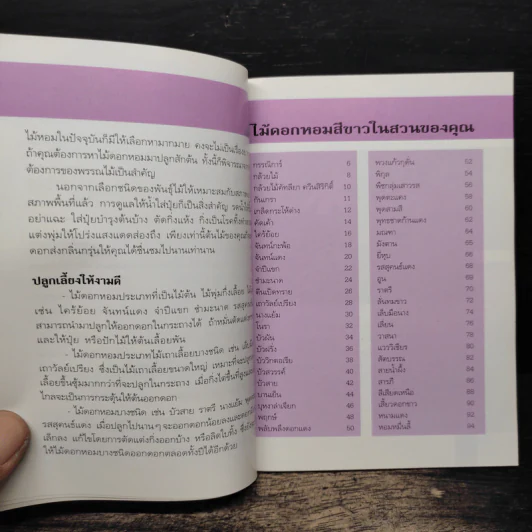 คู่มือคนรักต้นไม้ ไม้ดอกหอม สีขาว 2 - วชิรพงศ์ หวลบุตตา รูปที่ 7