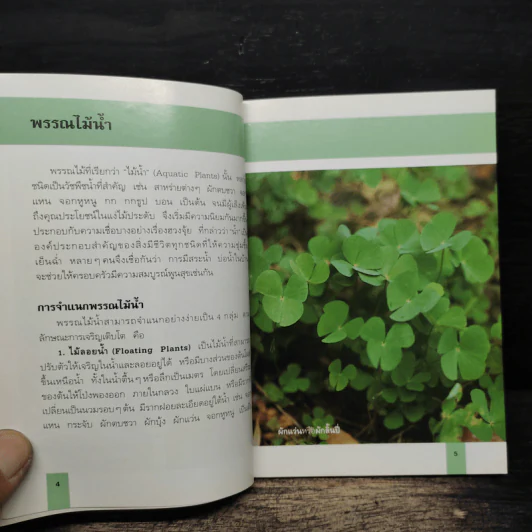 คู่มือคนรักต้นไม้ พรรณไม้น้ำ - อุไร จิรมงคลการ รูปที่ 8