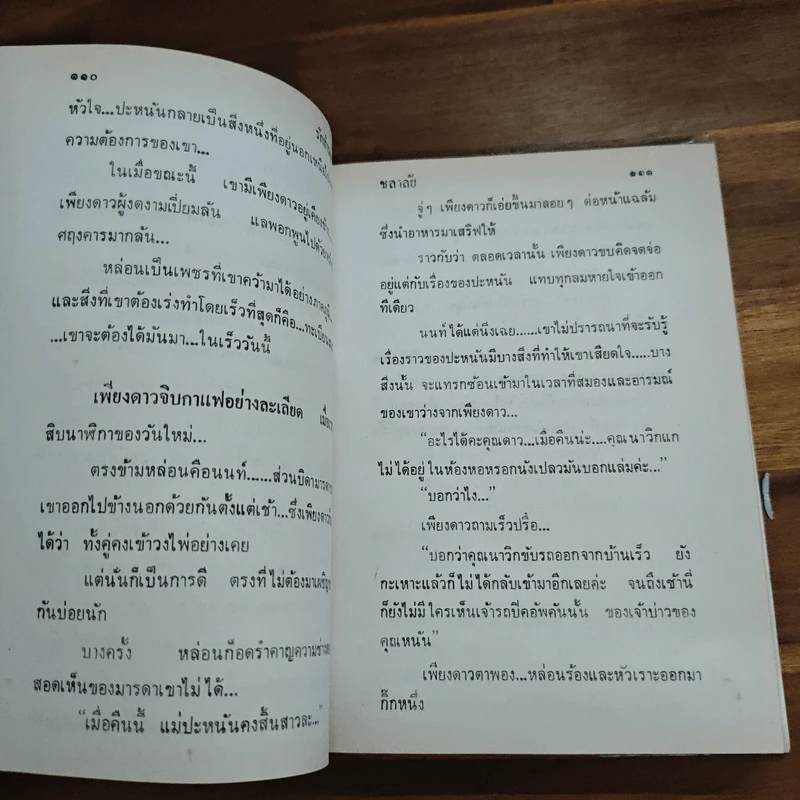รักสำรอง - ชลาลัย รูปที่ 8