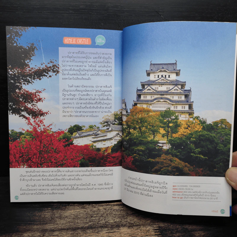 Japan Trip จูบุและคันไซ - อนุพันธุ์ สุขะปิณฑะ, นิธิธาดา สุขะปิณฑะ รูปที่ 9