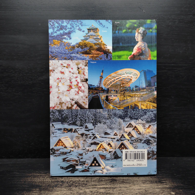 Japan Trip จูบุและคันไซ - อนุพันธุ์ สุขะปิณฑะ, นิธิธาดา สุขะปิณฑะ รูปที่ 2