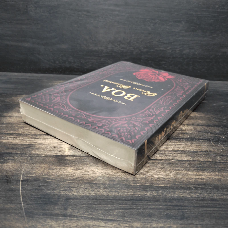 BOA. Romance Paranormal ยึดรักมัดใจเธอ รูปที่ 5