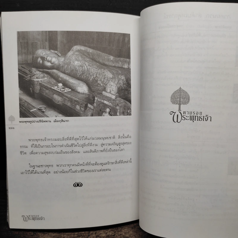 ตามรอยพระพุทธเจ้า - ลักษณา จีระจันทร์ รูปที่ 10