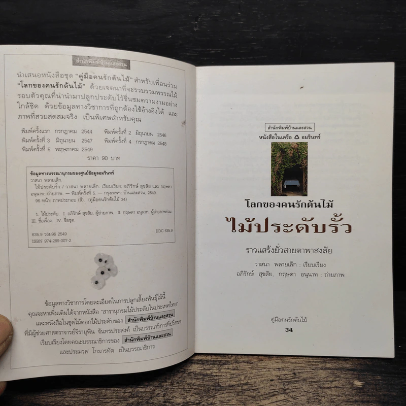คู่มือคนรักต้นไม้ ไม้ประดับรั้ว - วาสนา พลายเล็ก รูปที่ 6