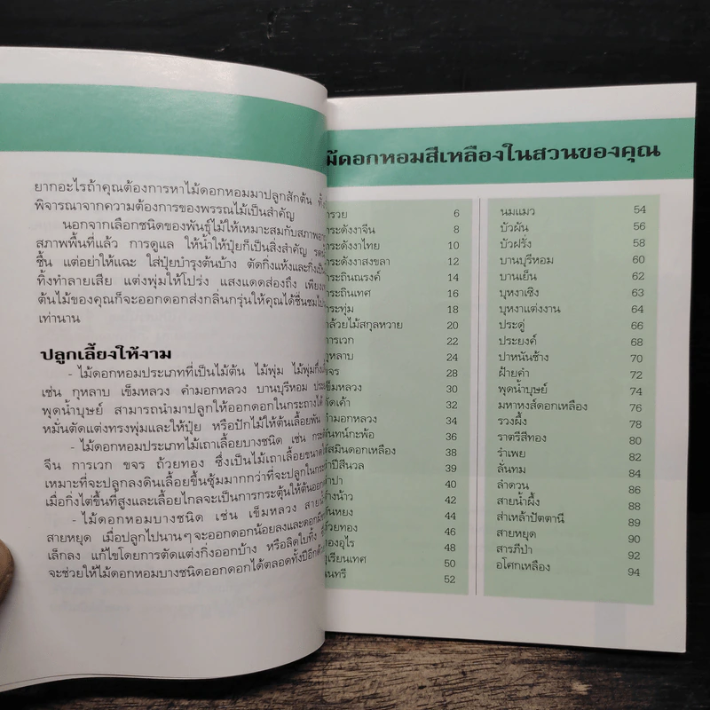 คู่มือคนรักต้นไม้ ไม้ดอกหอม สีเหลือง - วชิรพงศ์ หวลบุตตา รูปที่ 7