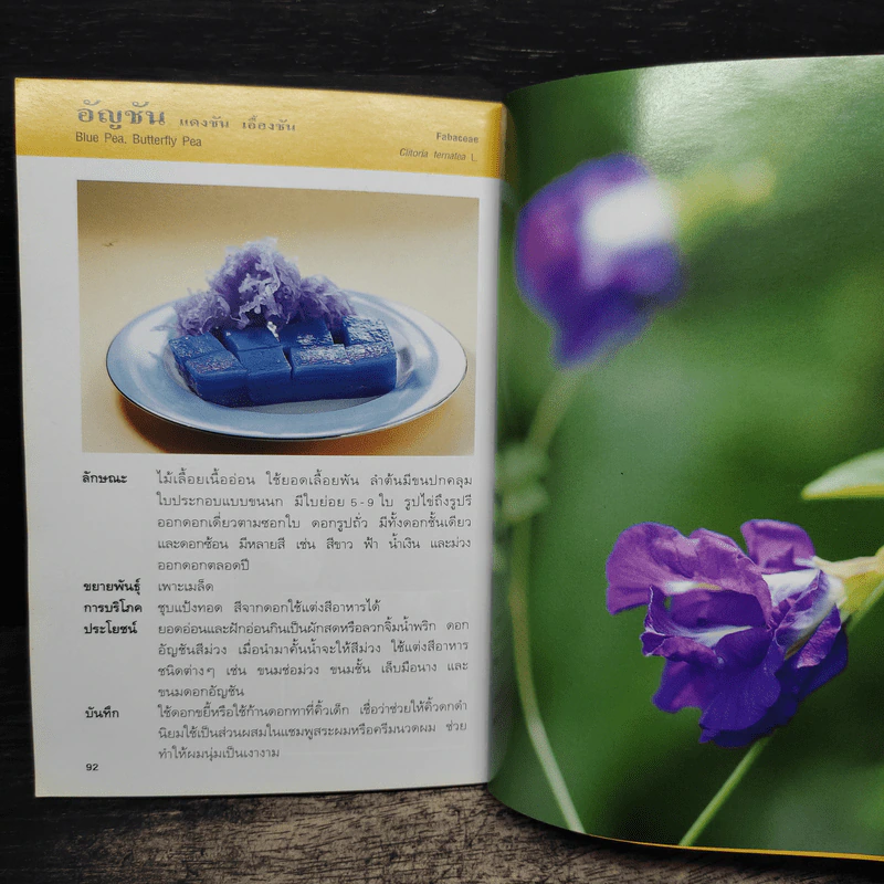 คู่มือคนรักต้นไม้ ดอกไม้กินได้ - วาสนา พลายเล็ก รูปที่ 8
