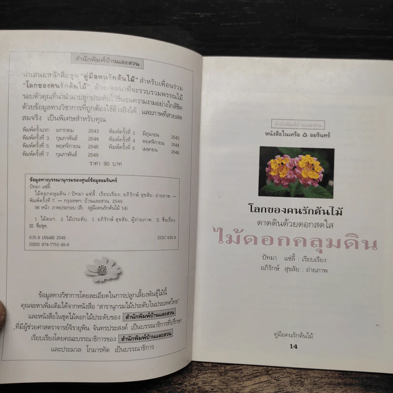 คู่มือคนรักต้นไม้ ไม้ดอกคลุมดิน - ปัทมา แซ่ลี้ รูปที่ 6