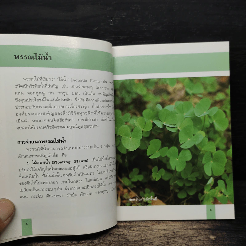 คู่มือคนรักต้นไม้ พรรณไม้น้ำ - อุไร จิรมงคลการ รูปที่ 8