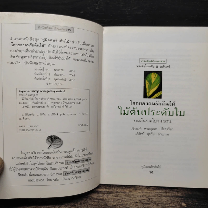 คู่มือคนรักต้นไม้ ไม้ต้นประดับใบ - วชิรพงศ์ หวลบุตตา รูปที่ 6