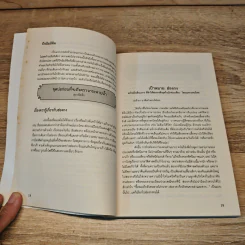 ซอกแซกฮ่องกง - วิโรจน์ ถิรคุณ รูปที่ 9