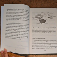 สร้างซูเปอร์สมอง - Kaja Nordengen รูปที่ 10