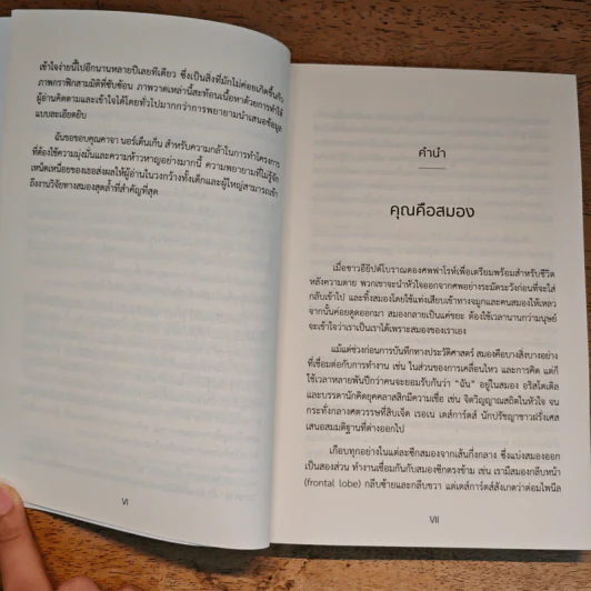 สร้างซูเปอร์สมอง - Kaja Nordengen รูปที่ 8