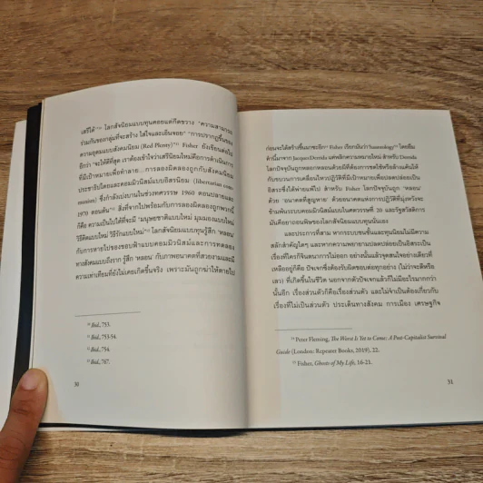 เมื่อโลกซึมเศร้า : Mark Fisher โลกสัจนิยมแบบทุน และลัดดาแลนด์ - สรวิศ ชัยนาม รูปที่ 8