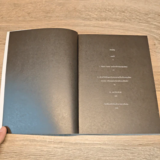 เมื่อโลกซึมเศร้า : Mark Fisher โลกสัจนิยมแบบทุน และลัดดาแลนด์ - สรวิศ ชัยนาม รูปที่ 6