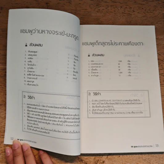 99 สูตรผลิตภัณฑ์สร้างอาชีพ รูปที่ 9