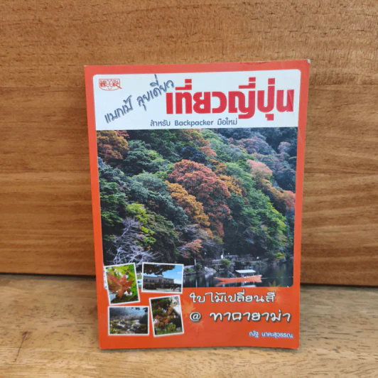 แบกเป้ ลุยเดี่ยว เที่ยวญี่ปุ่น ใบไม้เปลี่ยนสี @ ทาคายาม่า - ณัฐ นาคะสุวรรณ รูปที่ 1
