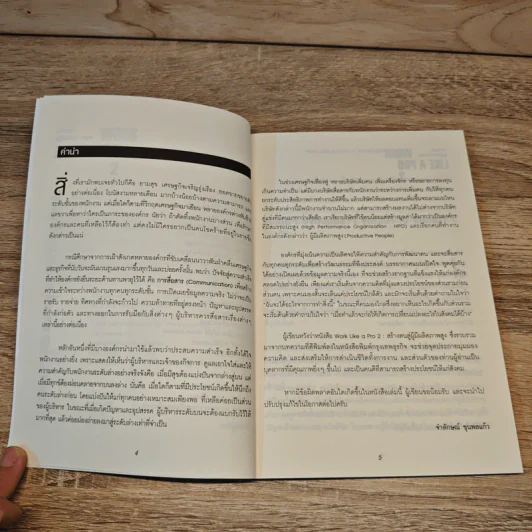 Work like a pro 2 สร้างตนสู่ผู้มีผลิตภาพสูง - จำลักษณ์ ขุนพลแก้ว รูปที่ 7