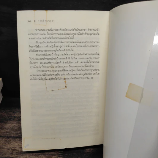ชุด บ้านไร่ปลายฝัน 4 เล่ม ธาราหิมาลัย, ดวงใจอัคนี, ปฐพีเล่ห์รัก, วายุภัคมนตรา - ณารา, ซ่อนกลิ่น รูปที่ 9