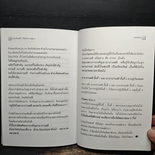 อานาปานสติ : วิถีแห่งความสุข 3 ขั้นที่ 9-16 - พระอาจารย์มิตซูโอะ คเวสโก รูปที่ 11