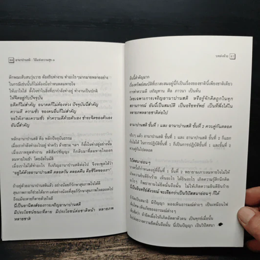 อานาปานสติ : วิถีแห่งความสุข 3 - พระอาจารย์มิตซูโอะ คเวสโก รูปที่ 11