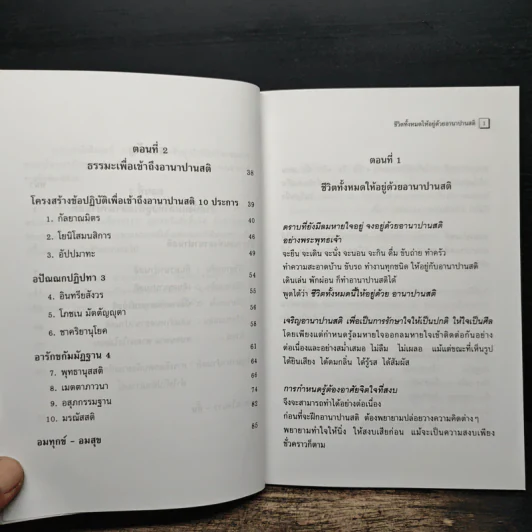 อานาปานสติ : วิถีแห่งความสุข 1 ชีวิตทั้งหมดให้อยู่ด้วยอานาปานสติ - พระอาจารย์มิตซูโอะ คเวสโก รูปที่ 9