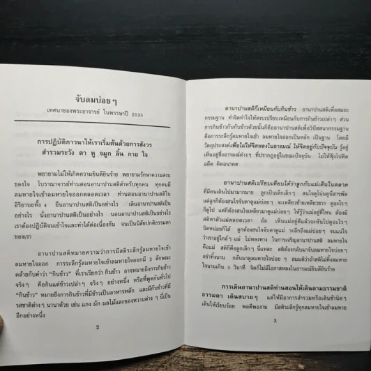 จับลมบ่อยๆ - พระอาจารย์มิตซูโอะ คเวสโก รูปที่ 7
