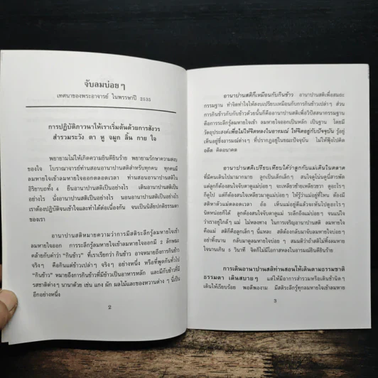 จับลมบ่อยๆ - พระอาจารย์มิตซูโอะ คเวสโก รูปที่ 7