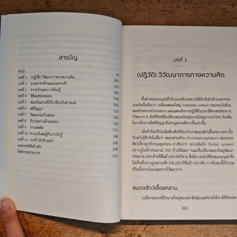 สร้างซูเปอร์สมอง - Kaja Nordengen รูปที่ 9