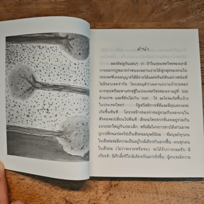 500 ล้าน 500 ไร่ เปลี่ยนประเทศไทย - เกียรติวรรณ อมาตยกุล รูปที่ 6
