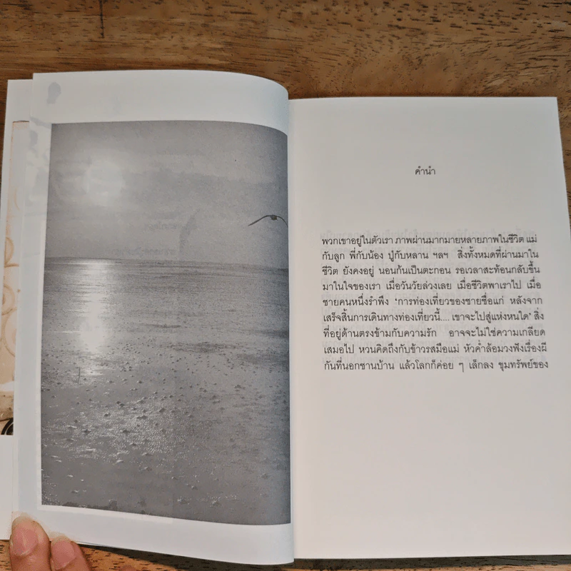 เราสูญเสียมันไปตอนไหน - อธิคม คุณาวุฒิ รูปที่ 8