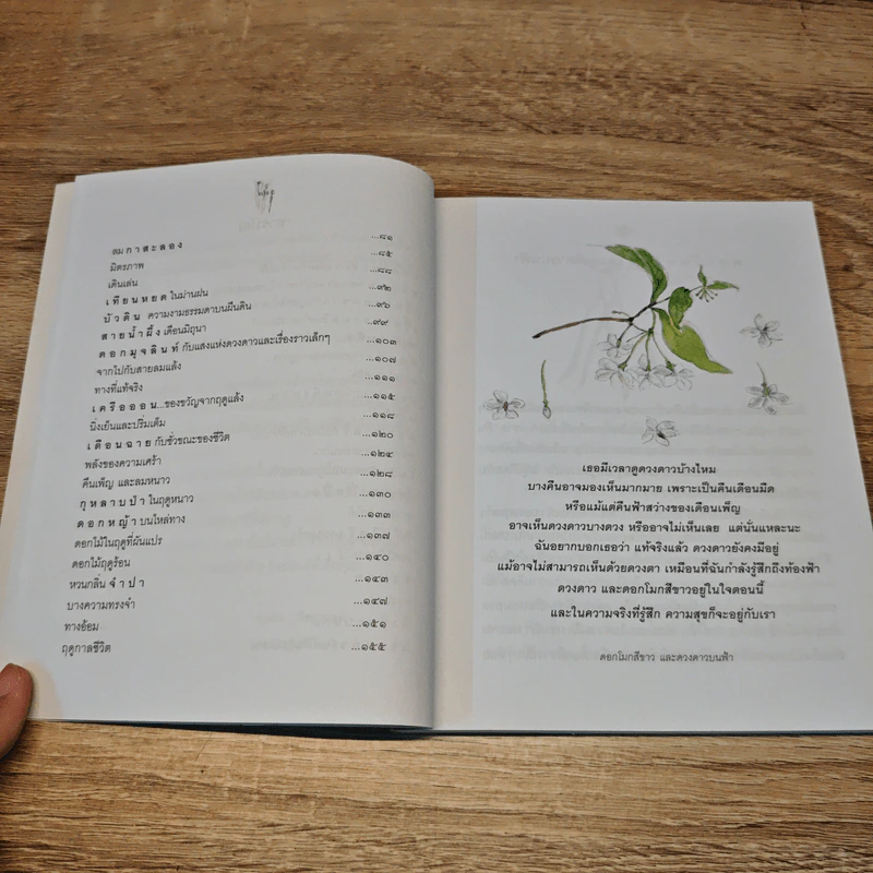 เหมือนมองดอกไม้ - บุษกร พิชยาทิตย์ รูปที่ 9