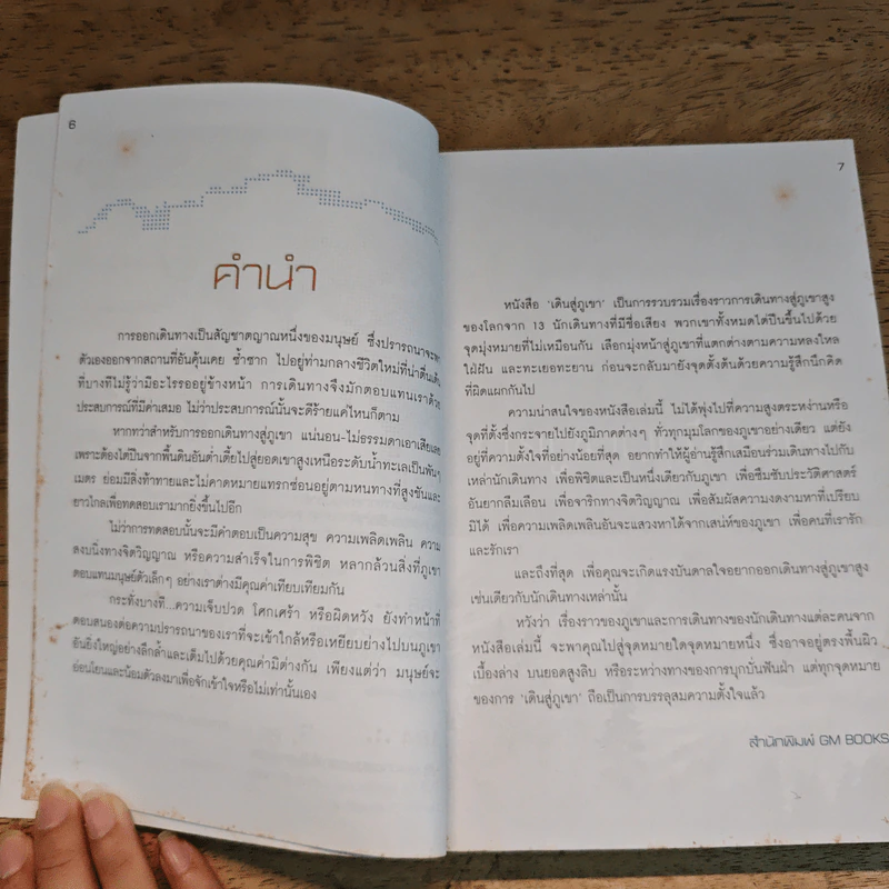 เดินสู่ภูเขา - โตมร ศุขปรีชา รูปที่ 8
