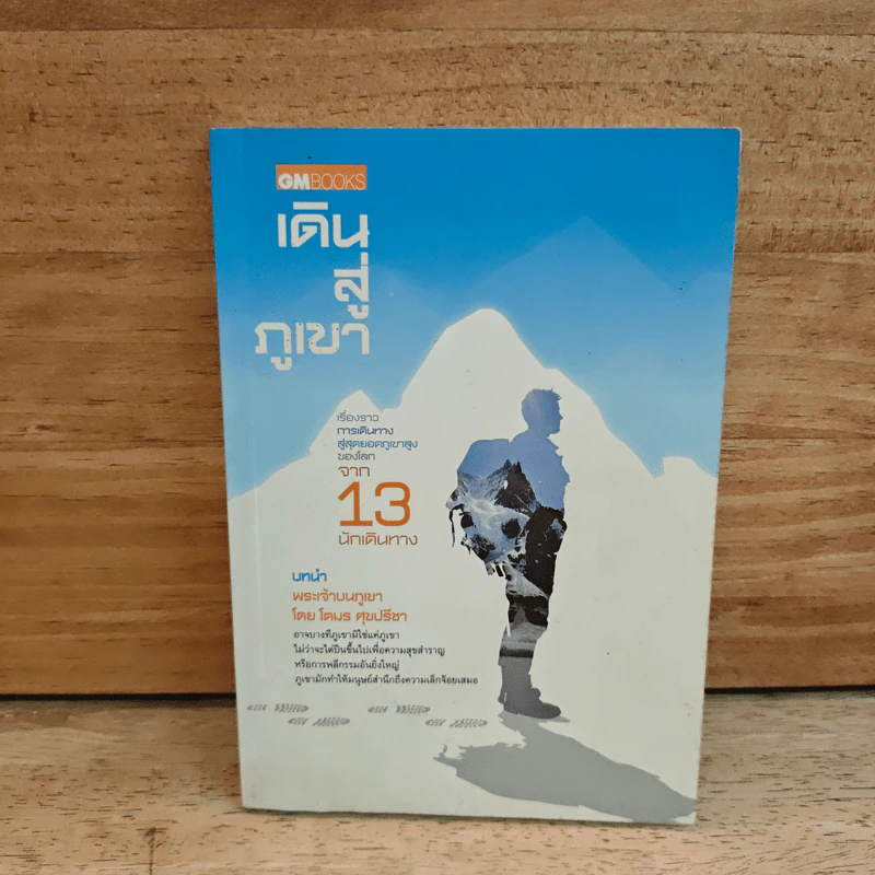เดินสู่ภูเขา - โตมร ศุขปรีชา รูปที่ 1