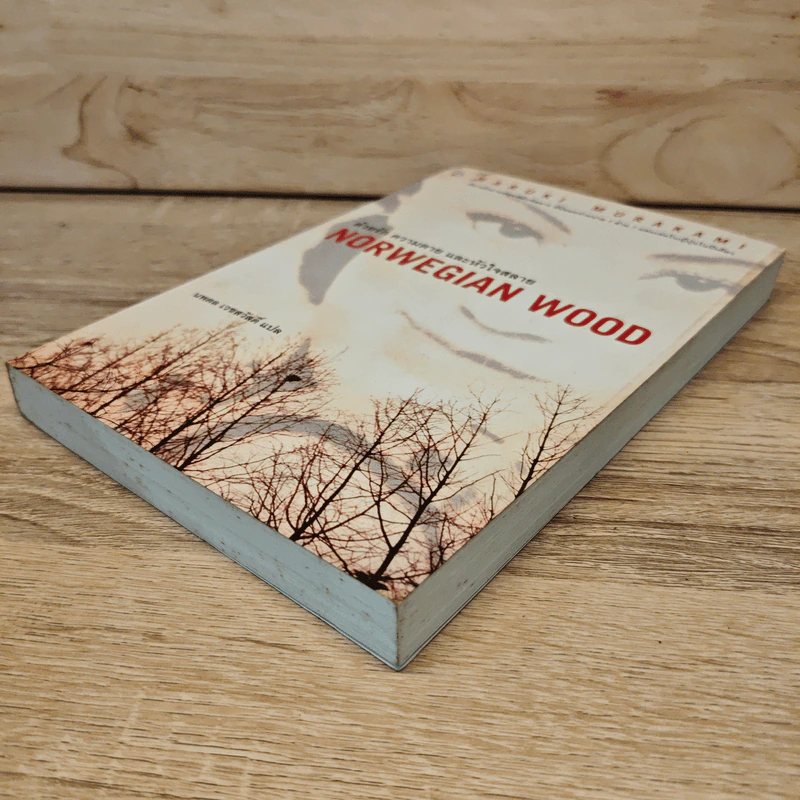 Norwegian Wood ด้วยรัก ความตาย และหัวใจสลาย - Haruki Murakami, นพดล เวชสวัสดิ์ รูปที่ 3