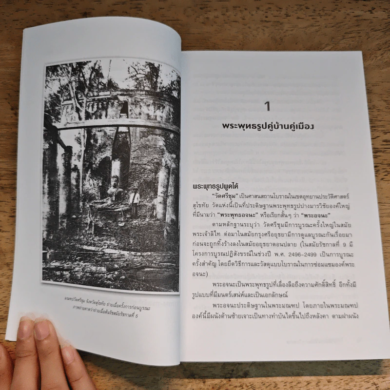 ประวัติศาสตร์แปลกๆ ในสยาม รูปที่ 11