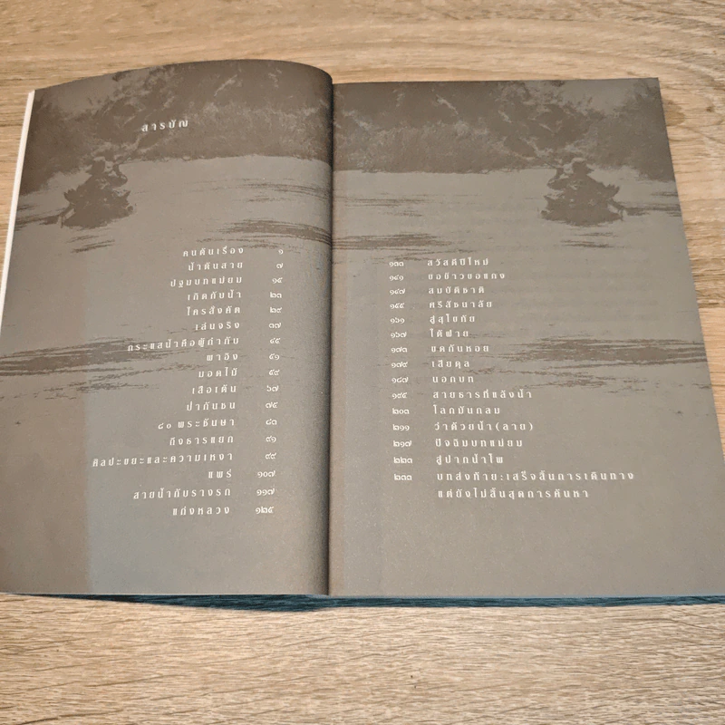 86 วันนิเวศศิลป์ริมแม่น้ำยม - พิน สาเสาร์ รูปที่ 7
