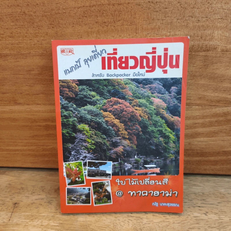แบกเป้ ลุยเดี่ยว เที่ยวญี่ปุ่น ใบไม้เปลี่ยนสี @ ทาคายาม่า - ณัฐ นาคะสุวรรณ รูปที่ 1