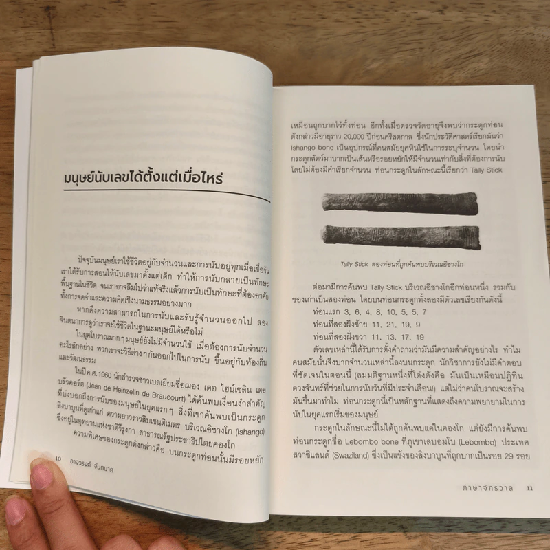 ภาษาจักรวาล ประวัติย่อของคณิตศาสตร์ - อาจวรงค์ จันทมาศ รูปที่ 10