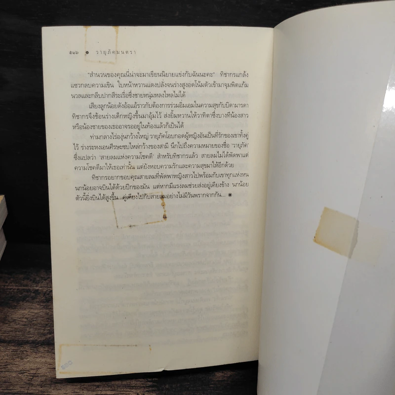 ชุด บ้านไร่ปลายฝัน 4 เล่ม ธาราหิมาลัย, ดวงใจอัคนี, ปฐพีเล่ห์รัก, วายุภัคมนตรา - ณารา, ซ่อนกลิ่น รูปที่ 9