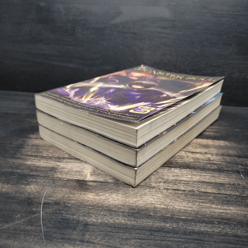 Monster Soul Online เล่ม 1-3 รูปที่ 4
