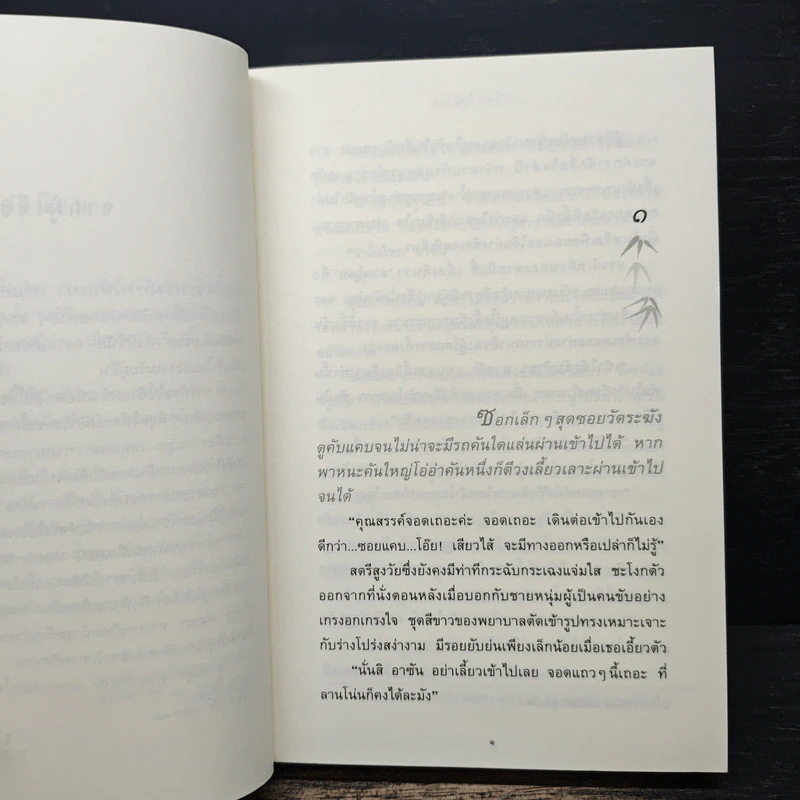 กิ่งไผ่-ใบรัก - ปิยะพร ศักดิ์เกษม รูปที่ 7