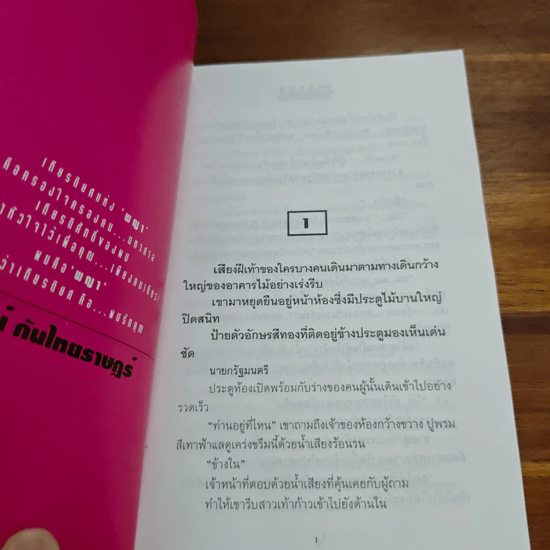 พญา - นิเวศน์ กันไทยราษฎร์ รูปที่ 7