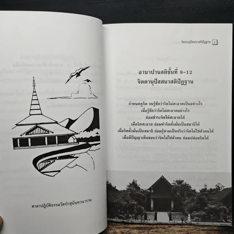 อานาปานสติ : วิถีแห่งความสุข 3 ขั้นที่ 9-16 - พระอาจารย์มิตซูโอะ คเวสโก รูปที่ 10